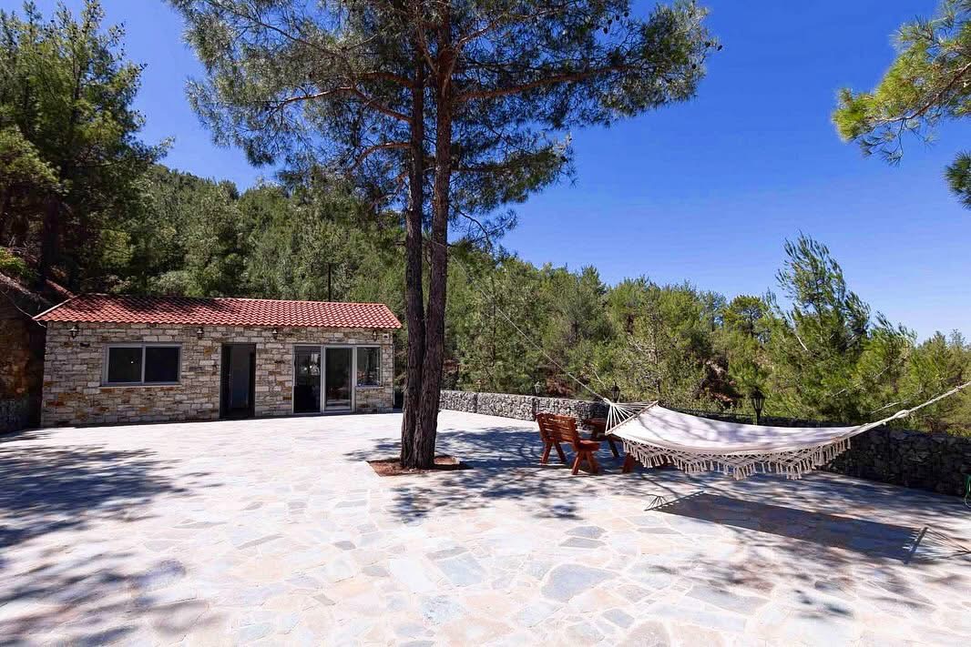 Fringed hammock strung beside the pine on the wide flagstone patio in front of the stone house
